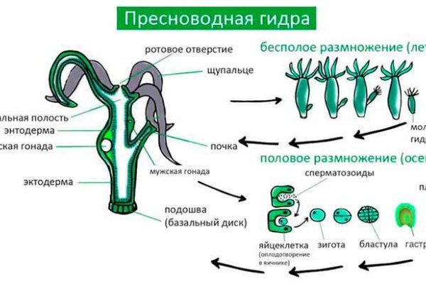 Кракен даркмаркет плейс