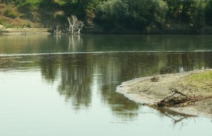 Кракен наркошоп ссылка