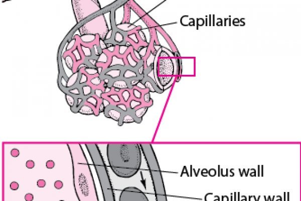 Как вернуть аккаунт на кракене