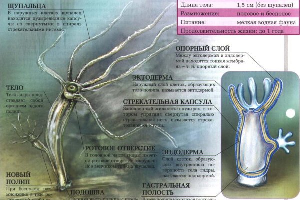 Ссылка на кракен kr2link co